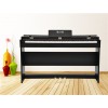 款式新颖的数码钢琴——哪里买数码钢琴实惠