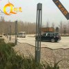 广东商业街灯柱 供应批发-厂家批发商业街灯柱 广场灯柱