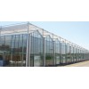 承建PC板温室大棚 潍坊提供可信赖的玻璃智能温室建设