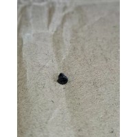 M1.6*３平头螺丝加工