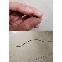 挤出十字氟橡胶条加工