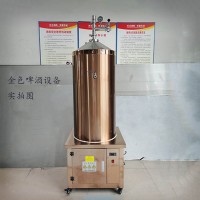 绥芬河市康之兴啤酒机械制造自酿啤酒厂家供应不同型号苛求品质