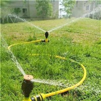 河源写字楼绿化养护 河源蔚蓝环境绿化