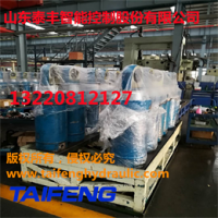 行程300缸径400的600吨普通折弯机油缸批发泰丰