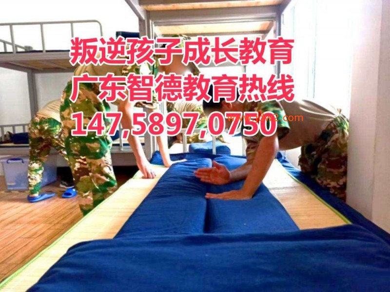 广东叛逆孩子教育学校,广东智德教育招生热线14758970750