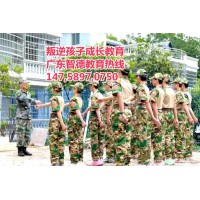 广东正规网瘾孩子教育学校,广东智德教育