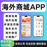 海外商城网站APP开发跨境电商语言切换管理系统