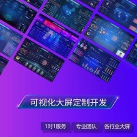 数据可视化软件可视化大屏设计动态图表制作数据大屏看板展示