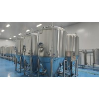 供应浙江酒厂年产量3万吨大型自动化精酿啤酒设备厂家