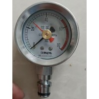 硅油阻尼双针耐震压力表