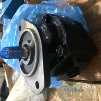 BUCHER德国布赫齿轮油泵QX QXV QXM