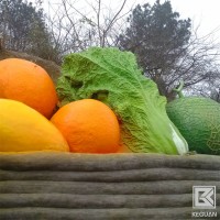 四川成都防腐油漆厂家-户外防腐漆/户外涂料批发